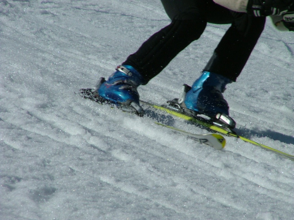 Skidor
