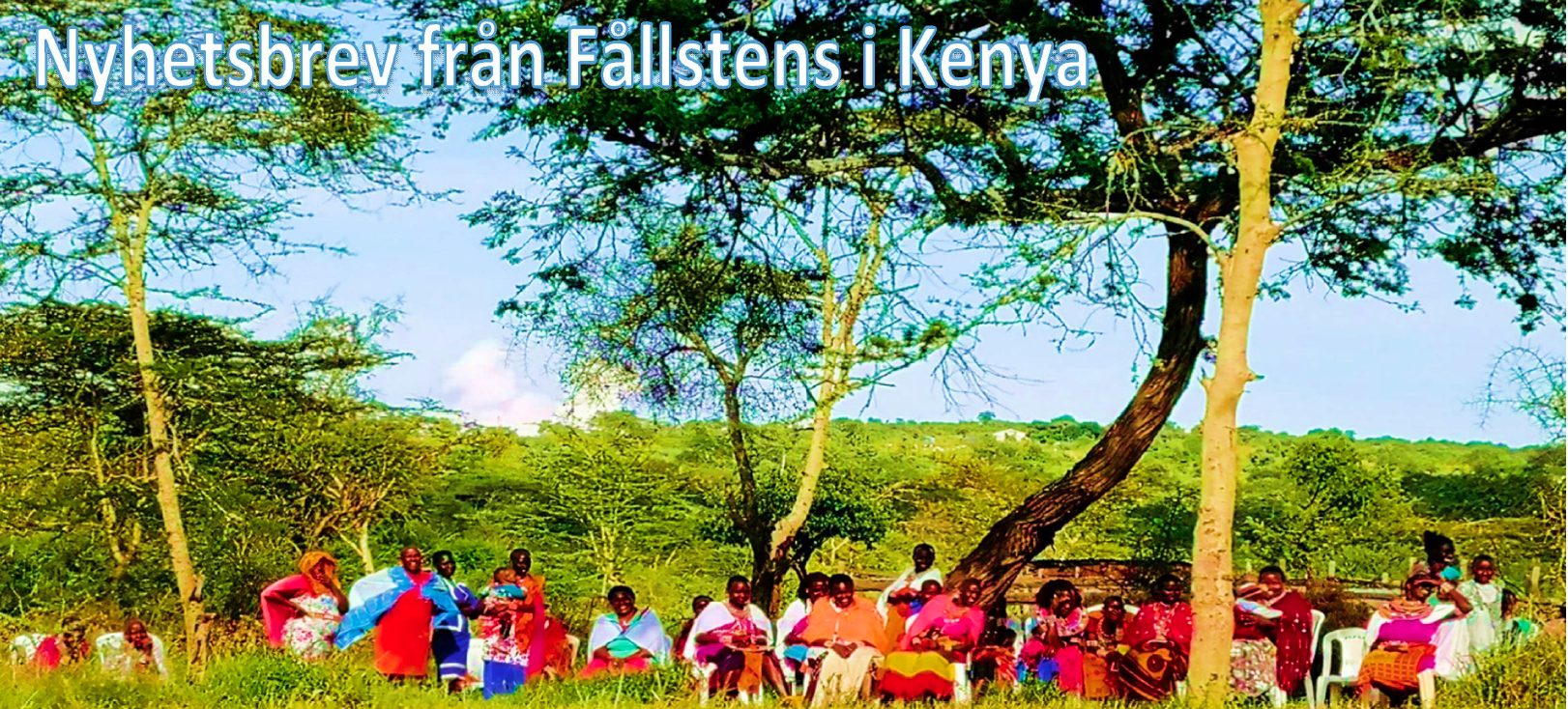 Nyhetsbrev från Fållstens i Kenya